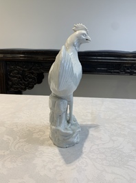 A pair of Chinese Dehua blanc de Chine models of roosters, 18th C.