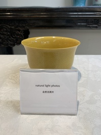 A Chinese yellow-glazed 'anhua' 'carp and lotus' bowl, Kangxi mark, 19th C.