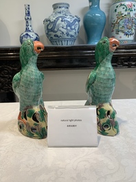 A pair of Chinese sancai-glazed parrots, 19th C.