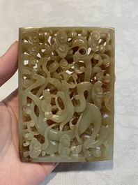 A Chinese russet jade 'dragon' plaque, 18th C.