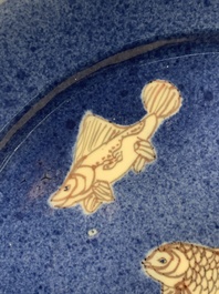 A Chinese blue, white and copper-red powder-blue-ground 'fish' dish, Kangxi