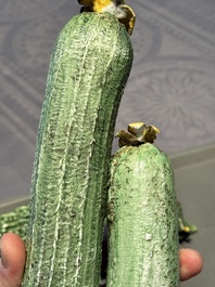 Two Chinese polychrome groups of cucumbers and bitter melons with insects, 19/20th C.