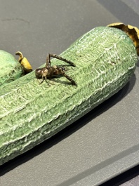 Two Chinese polychrome groups of cucumbers and bitter melons with insects, 19/20th C.