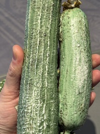Two Chinese polychrome groups of cucumbers and bitter melons with insects, 19/20th C.