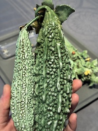 Two Chinese polychrome groups of cucumbers and bitter melons with insects, 19/20th C.