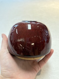 Three Chinese copper-red-glazed water pots, Kangxi mark, 19th C.