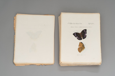 J. H&uuml;bner &amp; C. Geyer: 'L&eacute;pidopt&egrave;res Exotiques (1806-1837) - Nouvelle &Eacute;dition', early 20th C.
