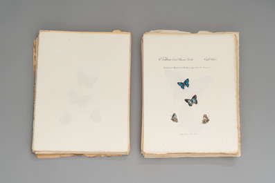 J. H&uuml;bner &amp; C. Geyer: 'L&eacute;pidopt&egrave;res Exotiques (1806-1837) - Nouvelle &Eacute;dition', early 20th C.