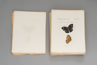 J. H&uuml;bner &amp; C. Geyer: 'L&eacute;pidopt&egrave;res Exotiques (1806-1837) - Nouvelle &Eacute;dition', early 20th C.