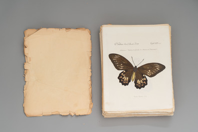 J. H&uuml;bner &amp; C. Geyer: 'L&eacute;pidopt&egrave;res Exotiques (1806-1837) - Nouvelle &Eacute;dition', early 20th C.