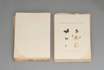 J. H&uuml;bner &amp; C. Geyer: 'L&eacute;pidopt&egrave;res Exotiques (1806-1837) - Nouvelle &Eacute;dition', early 20th C.