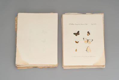 J. H&uuml;bner &amp; C. Geyer: 'L&eacute;pidopt&egrave;res Exotiques (1806-1837) - Nouvelle &Eacute;dition', early 20th C.