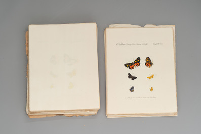 J. H&uuml;bner &amp; C. Geyer: 'L&eacute;pidopt&egrave;res Exotiques (1806-1837) - Nouvelle &Eacute;dition', early 20th C.