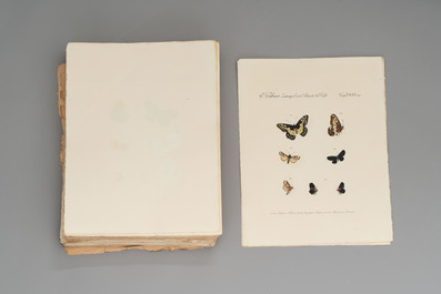 J. H&uuml;bner &amp; C. Geyer: 'L&eacute;pidopt&egrave;res Exotiques (1806-1837) - Nouvelle &Eacute;dition', early 20th C.