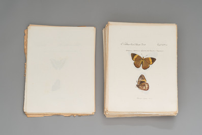 J. H&uuml;bner &amp; C. Geyer: 'L&eacute;pidopt&egrave;res Exotiques (1806-1837) - Nouvelle &Eacute;dition', early 20th C.