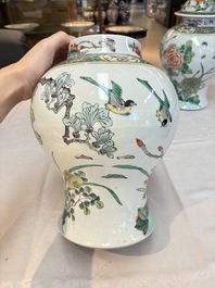A pair of Chinese famille verte 'birds and flowers' vases and covers, 19th C.