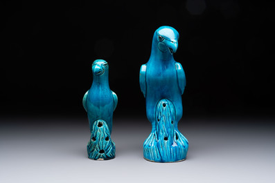 Four Chinese turquoise-glazed parrots, 19th C.
