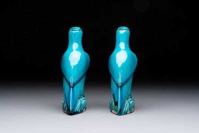 Four Chinese turquoise-glazed parrots, 19th C.