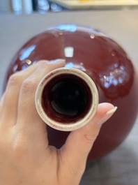 A Chinese sang-de-boeuf bottle vase, 19th C.