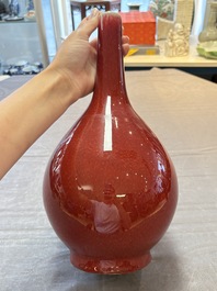A Chinese sang-de-boeuf bottle vase, 19th C.