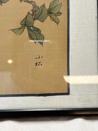 Seven Chinese school paintings: 'Flowers with birds and butterflies', ink and colour on silk, various signatures, 20th C.