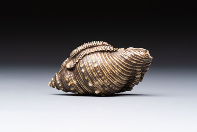 A rare Chinese brown- and turquoise-glazed conch-form brush washer, Qianlong