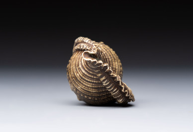 A rare Chinese brown- and turquoise-glazed conch-form brush washer, Qianlong