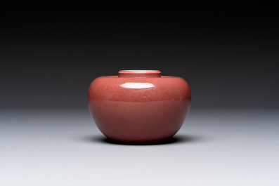 A Chinese copper-red-glazed plate, a meiping vase and two water pots, Kangxi marks, 19/20th C.