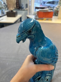 Four Chinese turquoise-glazed parrots, 19th C.