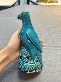 Four Chinese turquoise-glazed parrots, 19th C.