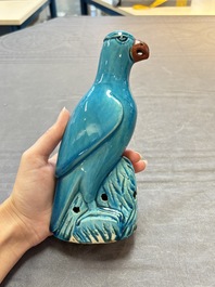 Four Chinese turquoise-glazed parrots, 19th C.