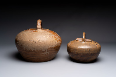 Two brown-glazed 'dragon' ewers with relief design, Qing