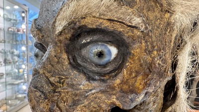 An Italian masked 'petrified' head on giltwood base, mixed media, 19/20th C.