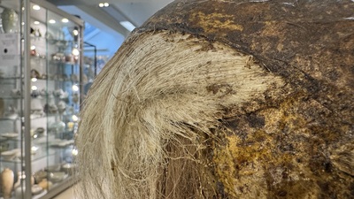 An Italian masked 'petrified' head on giltwood base, mixed media, 19/20th C.
