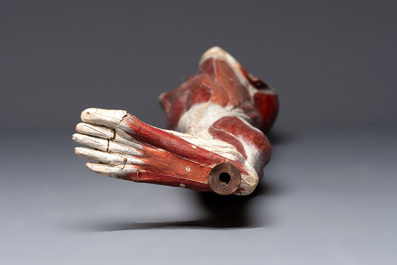 A French anatomical model of a human leg in polychrome papier-m&acirc;ch&eacute;, Maison Auzoux, dated 1947