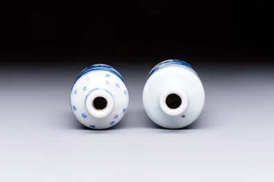 A Chinese blue and white 'Mythical Animals' snuff bottle and a 'Buddhist Lions' snuff bottle, 19th C.