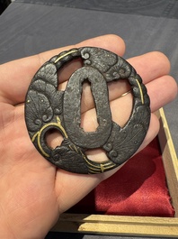 A varied collection of ten Japanese iron tsuba, Edo