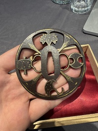 A varied collection of ten Japanese iron tsuba, Edo