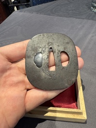 A varied collection of ten Japanese iron tsuba, Edo