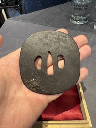 A varied collection of ten Japanese iron tsuba, Edo