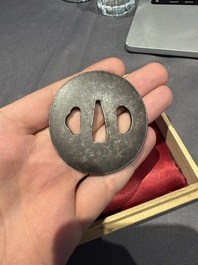 A varied collection of ten Japanese iron tsuba, Edo