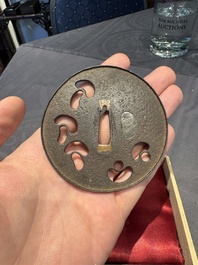 A varied collection of ten Japanese iron tsuba, Edo