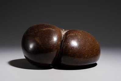 A coco de mer or sea coconut (Lodoicea maldivica), Seychelles