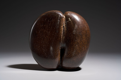 A coco de mer or sea coconut (Lodoicea maldivica), Seychelles