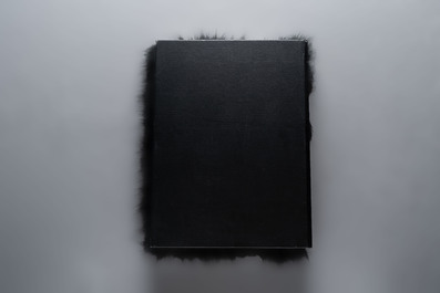 Albert Watson (1942): 'KAOS', sample copy with faux chimpanzee fur fitting, Taschen, 2017