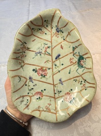 Three Chinese famille rose celadon-ground leaf-form tazzas, Tongzhi and Guangxu marks, 19th C.
