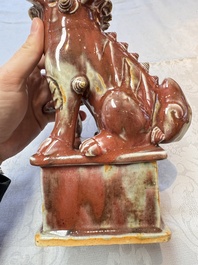 A Chinese copper-red-glazed Buddhist lion, 19th C.