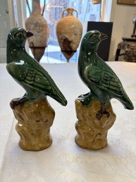A pair of Chinese turquoise-glazed Buddhist lions, a pair of green-glazed parrots and a pair of miniature garden seats, 19/20th C.
