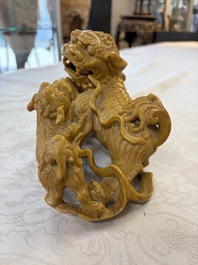 A fine Chinese soapstone group of Buddhist lions on wooden stand, 19th C.