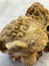 A fine Chinese soapstone group of Buddhist lions on wooden stand, 19th C.